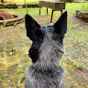 Meet your Posher, Jody